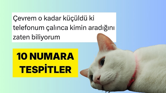 Hayata Dair Tespitlerini Mizah Sosuyla Paylaşan Kişiler