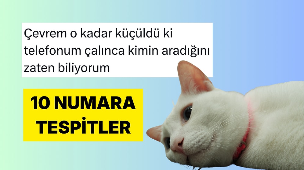 Hayata Dair Tespitlerini Mizah Sosuyla Paylaşan Kişiler