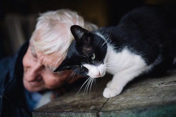 Yavaş Yavaş Göz Kırpıyorsa Bu Kedi Dilinde Gülümsemek Demek!