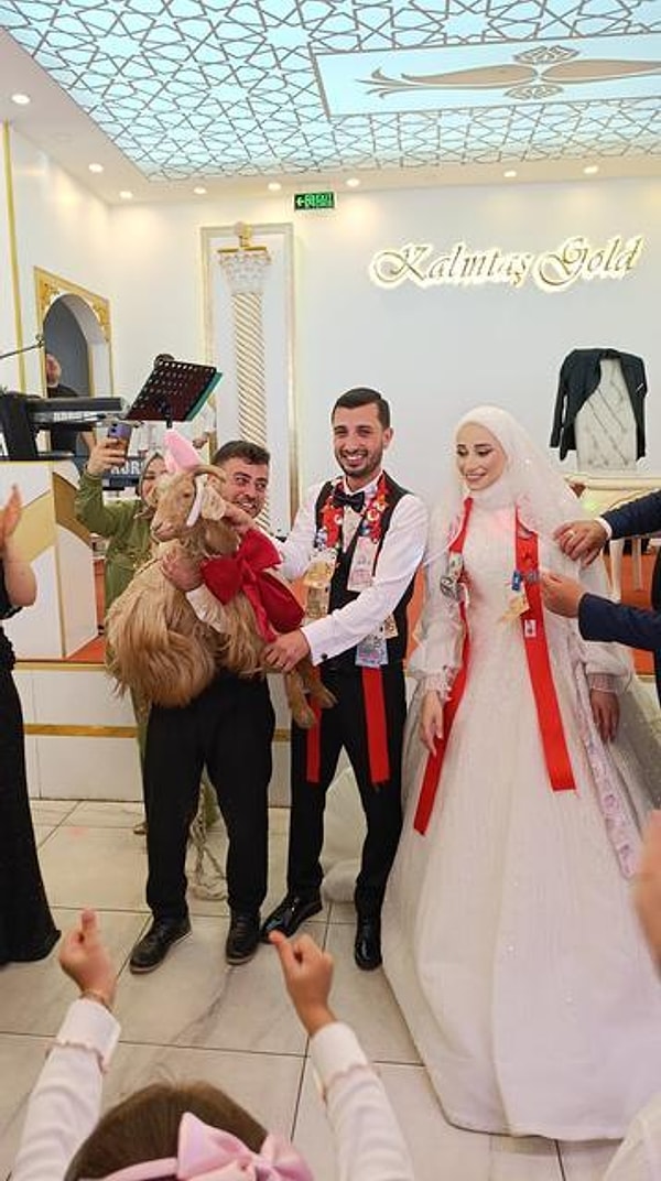 Trabzon'da Damada Altın Değil Süslenmiş Bir Keçi Hediye Edildi