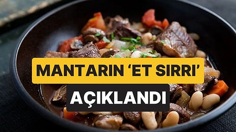 Bilim İnsanları Açıkladı: Mantarların Tadını Ete Benzeten Sır Protein Değilmiş