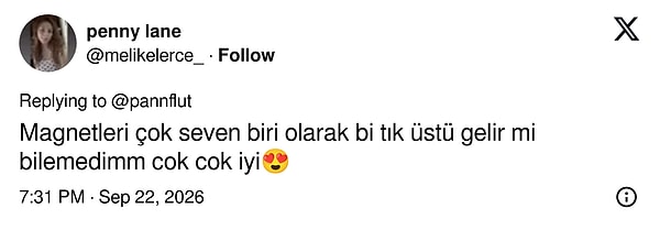 Kendini magnet koleksiyoncusu olarak tanıtan bir takipçi bu kadarını çok iyi bulduğunu söyledi
