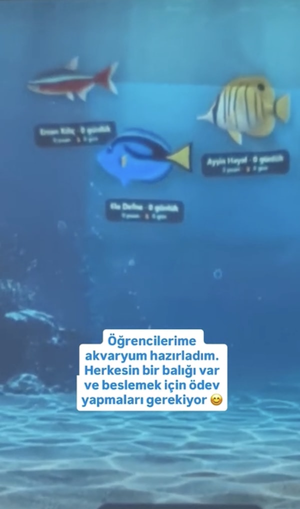 Geleneksel ödev sistemlerinin ötesine geçen bu yöntemde, öğrencilerin sanal akvaryumdaki balıklarını besleyebilmeleri için verilen ödevleri ve sorumlulukları eksiksiz yerine getirmeleri gerekiyor.