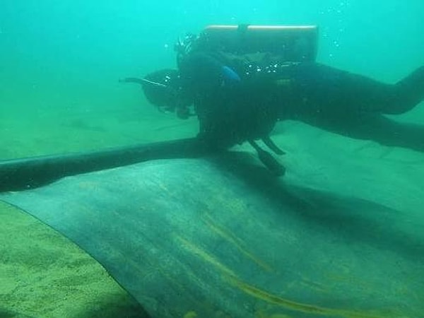 It was estimated that at least 90% of the mussels had died when the covers were removed in 2014.