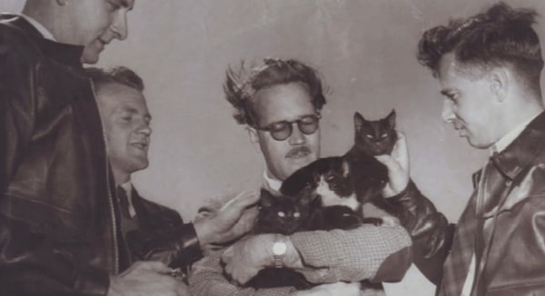 The cats, which multiplied in a short time, started hunting the island's seabirds instead of mice.