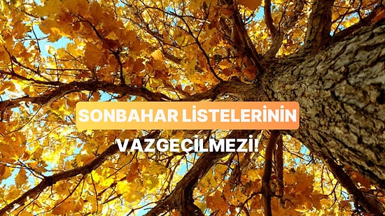 Sonbahar Havasına Birebir 10 Hüzünlü Türkçe Hit