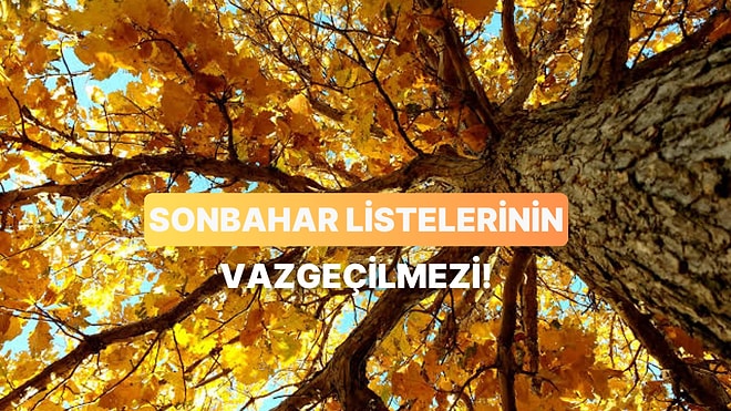 Sonbahar Havasına Birebir 10 Hüzünlü Türkçe Hit