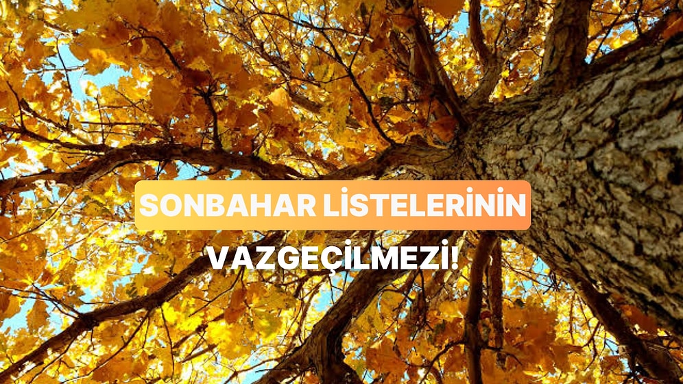 Sonbahar Havasına Birebir 10 Hüzünlü Türkçe Hit