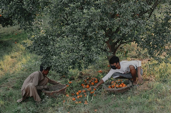 Taşrada Çalışma Şartı Kalkmıyor