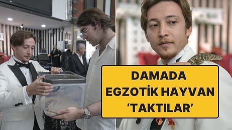 Böyle Düğün Hediyesi Görülmedi: Damada Altın Yerine İguana ve Bukalemun 'Taktılar'