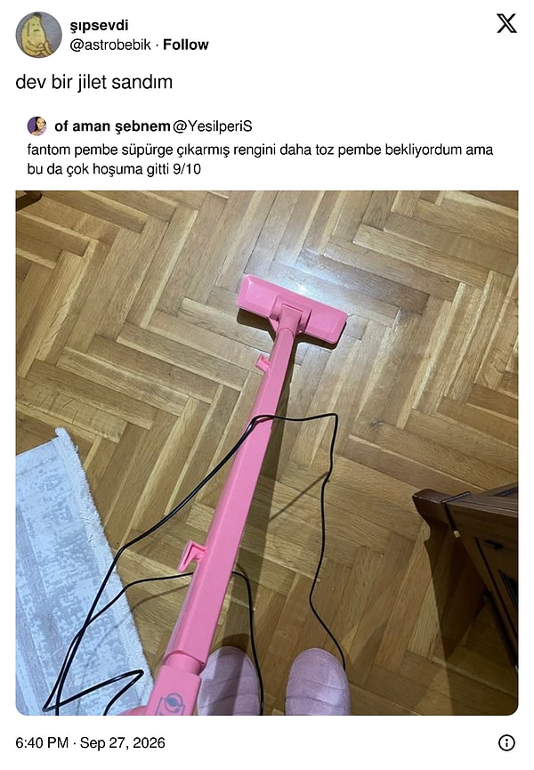 Pembe süpürge ilk bakışta bambaşka bir şeye benzedi