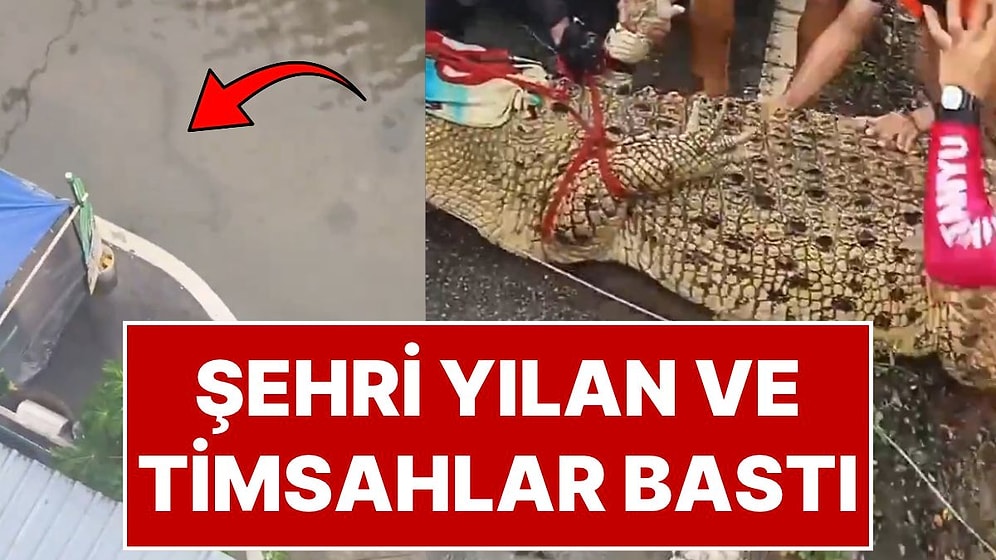 Tayland'da Şehri Sel Suları Bastı: Suyun İçinde Dev Yılanlar ve 2 Metrelik Timsahlar Var!