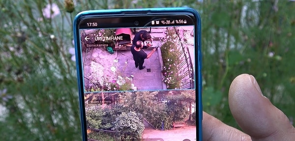 Güvercinlerin ayağındaki çelik bilezik kesilmeye kalkılırsa kuşun ayağı kırılıyor