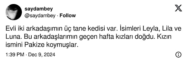 Üç kedisine Leyla, Lila ve Luna adını veren bir çift, kızlarının adında bambaşka bir yol seçti