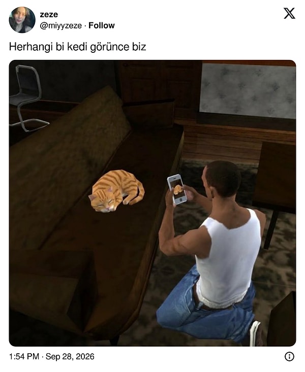 Sokakta kedi görünce içimizdeki CJ uyanıyor