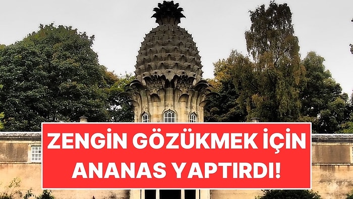 Zenginlik Simgesi Diye Köşkünün Tepesine Taştan Dev Bir Ananas Yaptırdı