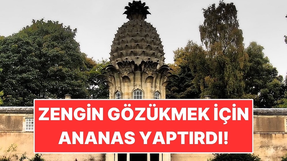 Zenginlik Simgesi Diye Köşkünün Tepesine Taştan Dev Bir Ananas Yaptırdı
