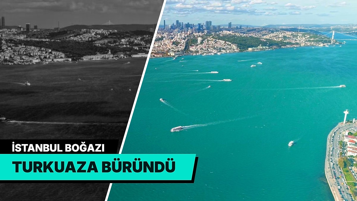 İstanbul Boğazı Turkuaza Büründü: Üç Günlük Yağışın Ardından Sularda Alg Patlaması Yaşandı