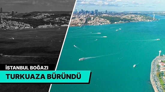 İstanbul Boğazı Turkuaza Büründü: Üç Günlük Yağışın Ardından Sularda Alg Patlaması Yaşandı