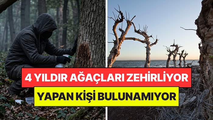4 Yıldır Ağaçları Zehirleyen Kişiyi Hala Bulamıyorlar: Yakalayana Servet Verilecek