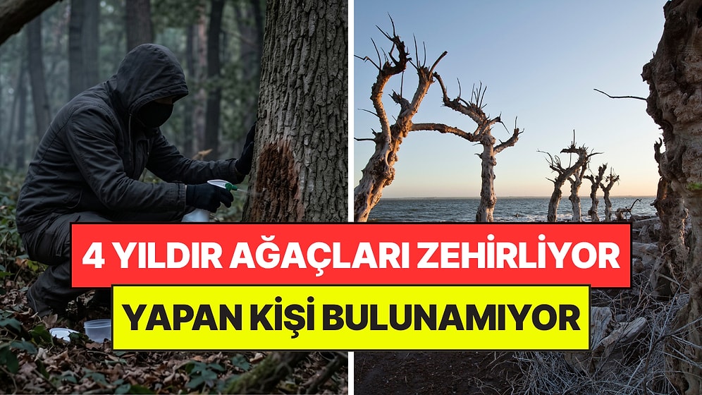 4 Yıldır Ağaçları Zehirleyen Kişiyi Hala Bulamıyorlar: Yakalayana Servet Verilecek