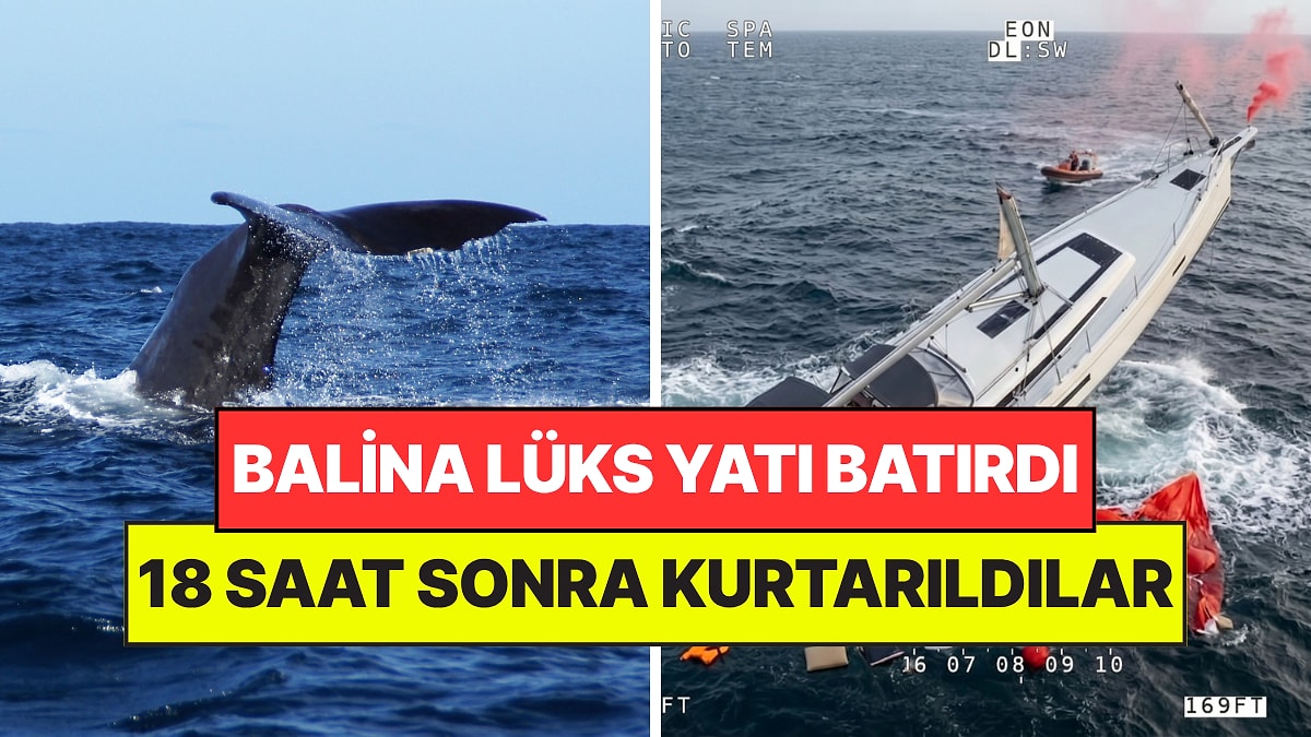 Okyanusun Ortasında Dev Balina Lüks Yatı Batırdı: 18 Saat Sonra Kurtarıldılar