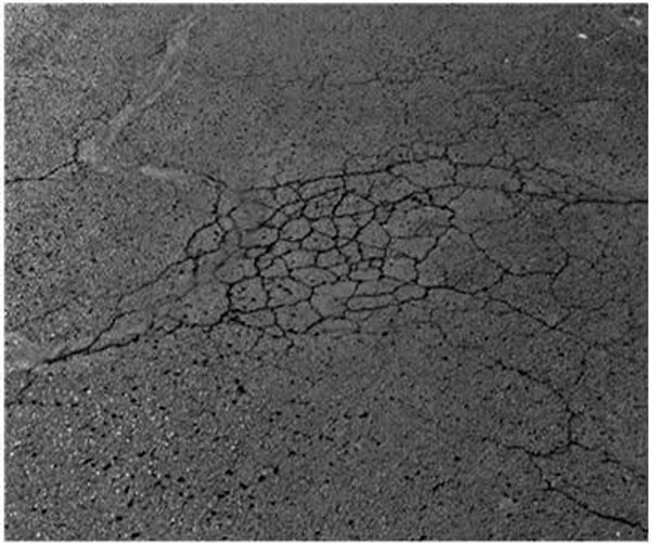 Researchers conducted tests on the nylon fibers used on the surface of carpets.