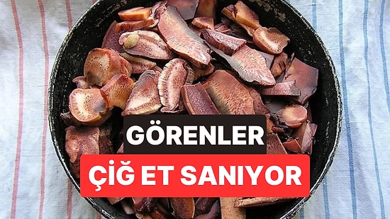 Ağaçta Asılı Çiğ Et Sanılıyor: Kesildiği An Kırmızı Su Salan Mantar Görenleri Şaşırtıyor