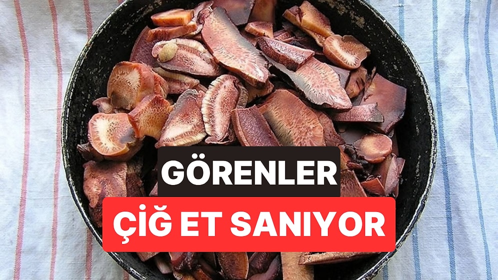 Ağaçta Asılı Çiğ Et Sanılıyor: Kesildiği An Kırmızı Su Salan Mantar Görenleri Şaşırtıyor