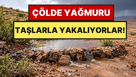 Çölün Ortasında Toprağa Küçük Çukurlar Açtılar: Yağmur Yağınca Etkisi Ortaya Çıktı