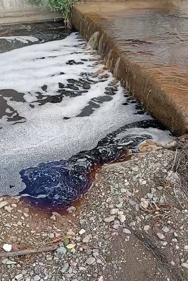 Yalova Çevre, Şehircilik ve İklim Değişikliği İl Müdürlüğü ekipleri, sıvının içeriğini ve denize ulaştığı noktayı belirlemek için çalışma başlattı.