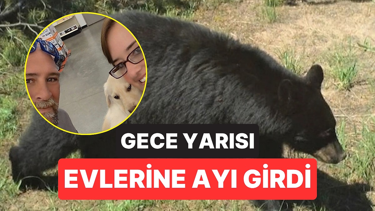 Gece Yarısı Evine Ayı Girdi: Baba, Kızlarını Korumak İçin Ayıyı Evden Uzaklaştırdı