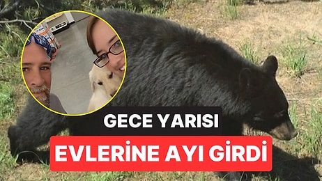 Gece Yarısı Evine Ayı Girdi: Baba, Kızlarını Korumak İçin Ayıyı Evden Uzaklaştırdı