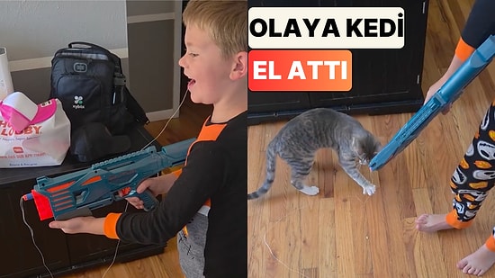 Nerf Silahı ile Dişini Çekmeye Çalışan Minik Cesaretini Toplayamayınca Duruma Kedi Müdahale Etti