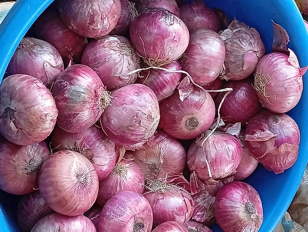 Soğanın buzdolabı yerine kuru, serin ve karanlık bir yerde tutulması gerekiyor.