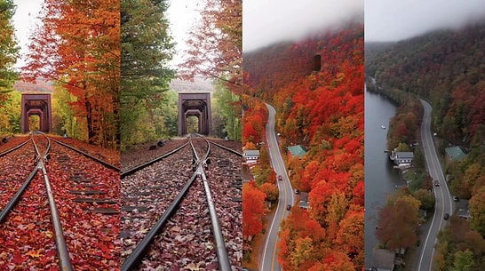 Side-by-Side Photos of Instagram vs Real Life Autumn Views Stun Viewers