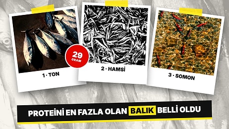 Ne Hamsi Ne de Somon: Protein Oranı En Yüksek Balık Belli Oldu, Listenin Zirvesinde Ton Balığı Var