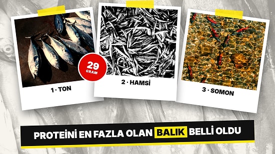 Ne Hamsi Ne de Somon: Protein Oranı En Yüksek Balık Belli Oldu, Listenin Zirvesinde Ton Balığı Var