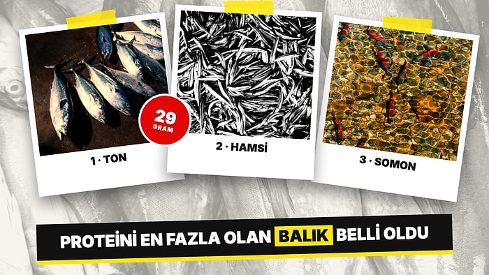 Ne Hamsi Ne de Somon: Protein Oranı En Yüksek Balık Belli Oldu, Listenin Zirvesinde Ton Balığı Var