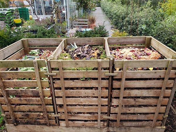 Delikli bir torbada bekletilen yapraklar, yaklaşık iki yılda yaprak kompostuna dönüşüyor.