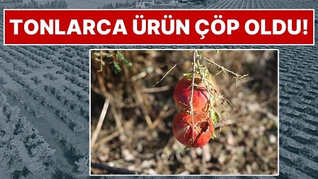 Arsuz'da 20 Dakikalık Dolu Felaketi: 100 Dönümlük Nar Bahçesinde Ürünün Yüzde 99'u Mahvoldu