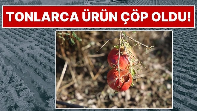 Arsuz'da 20 Dakikalık Dolu Felaketi: 100 Dönümlük Nar Bahçesinde Ürünün Yüzde 99'u Mahvoldu
