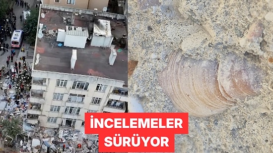 Maltepe'de Çöken Binanın Beton Örneklerinde Deniz Kabuğu Görüldü