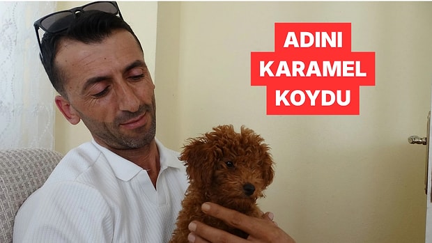 Otobüs Şoförü Koltukta Bulduğu Köpeği Önce Oyuncak Sandı Sonra Sahiplendi