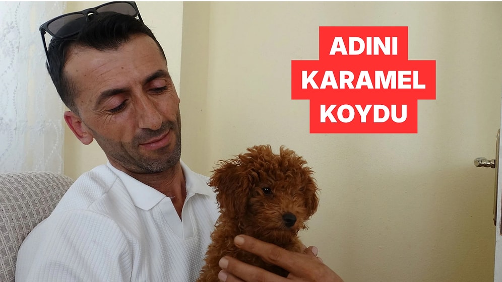Otobüs Şoförü Koltukta Bulduğu Köpeği Önce Oyuncak Sandı Sonra Sahiplendi