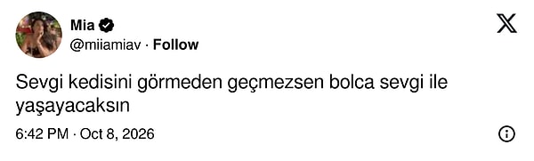 Sevgi kedisinin yolundan geçmeyenin hayatı sevgiyle geçiyor