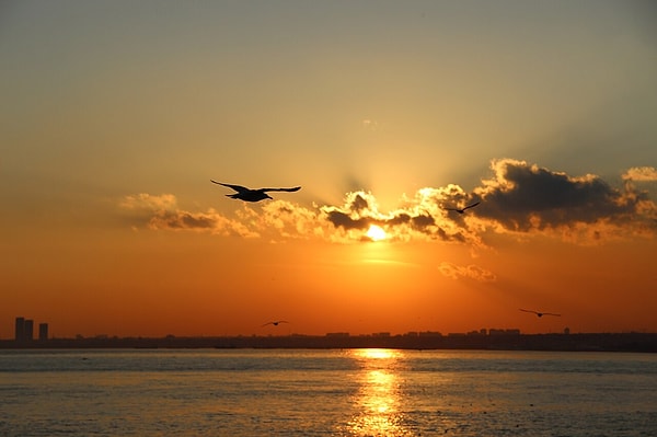 İstanbul 10 ilçeyle listede.