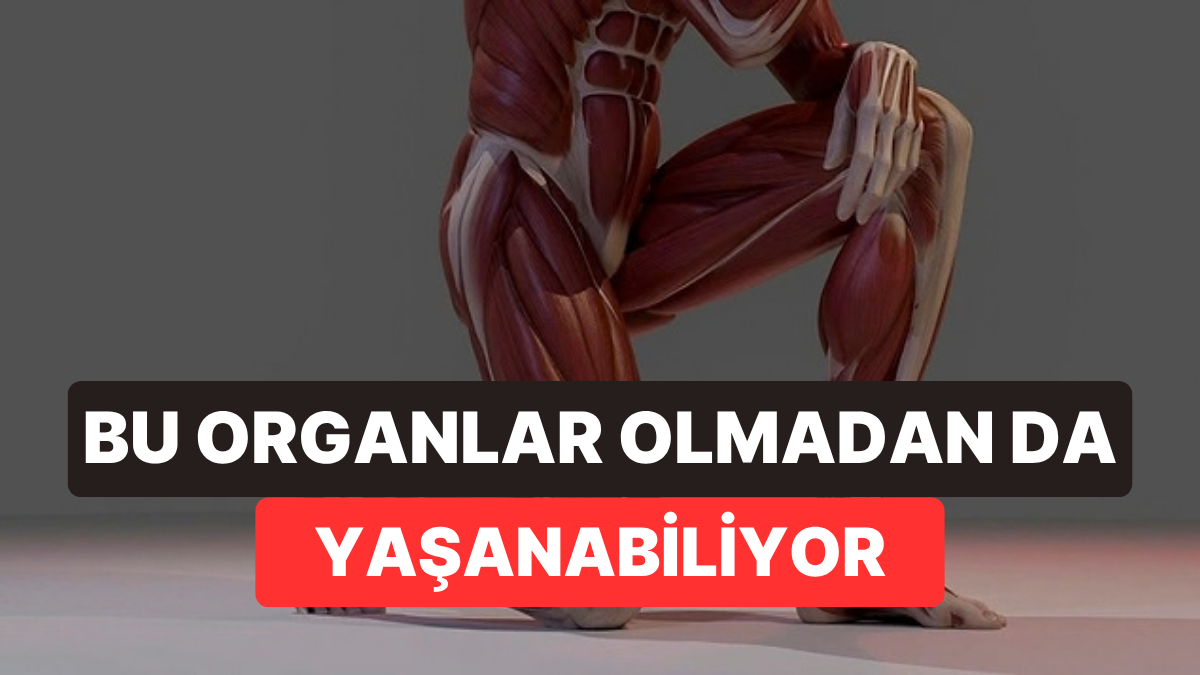 Vücudumuzun Aslında İhtiyaç Duymadığı 6 Parça: Bazılarımız Onlarsız Doğuyor