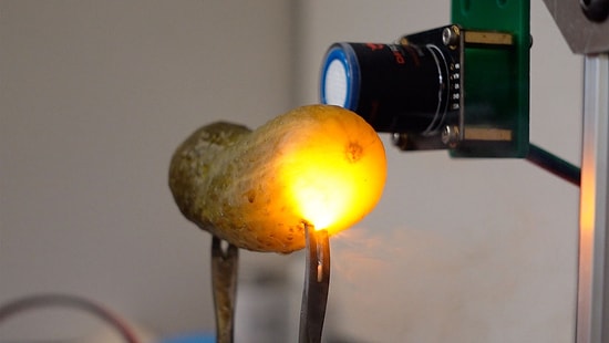 Scientists Finally Solve Mystery of Why Pickles Glow Orange When Plugged Into Outlets