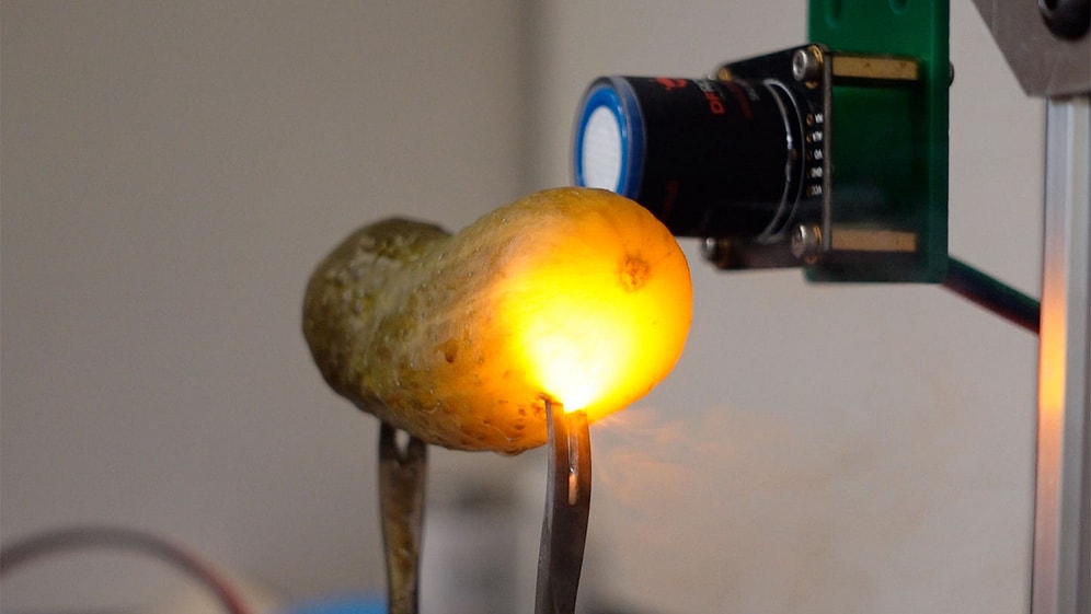 Scientists Finally Solve Mystery of Why Pickles Glow Orange When Plugged Into Outlets